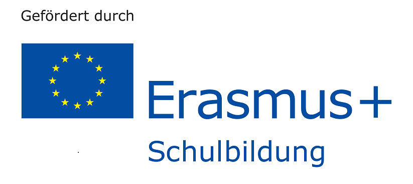Erasmusgefoerdert rgb 1