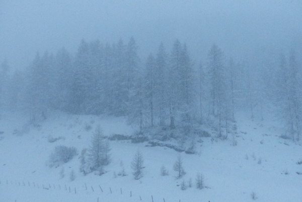 Nebel