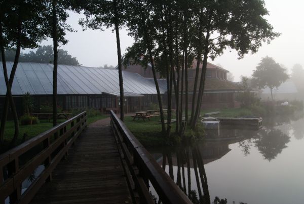 DSC07450