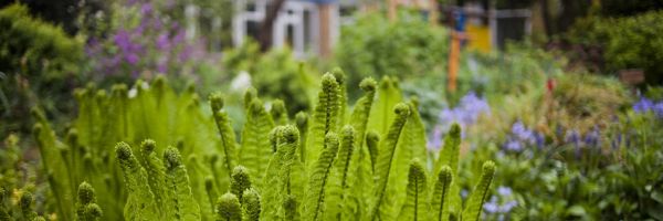 gartenbanner