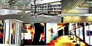 Antonia_WibbekePicMonkey_Collage_start