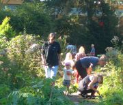 Garten_start