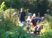 garten_start