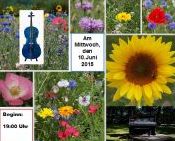 Sommerkonzert start1