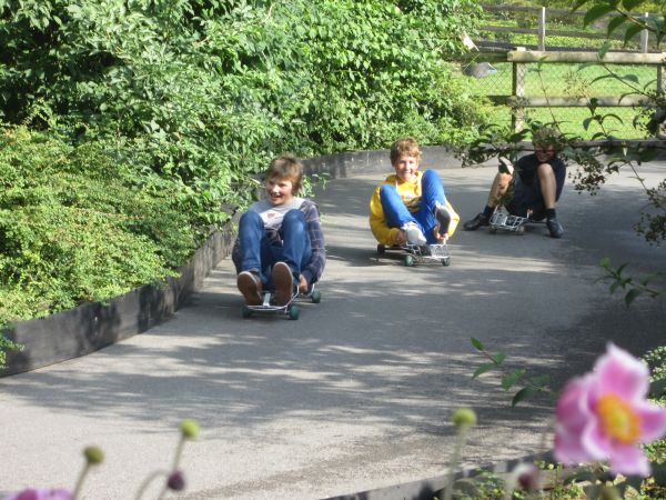 IMG_1384