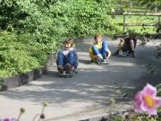 IMG_1384_start