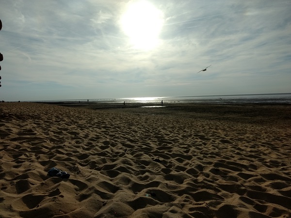 2019 07 10 Cuxhaven (2)
