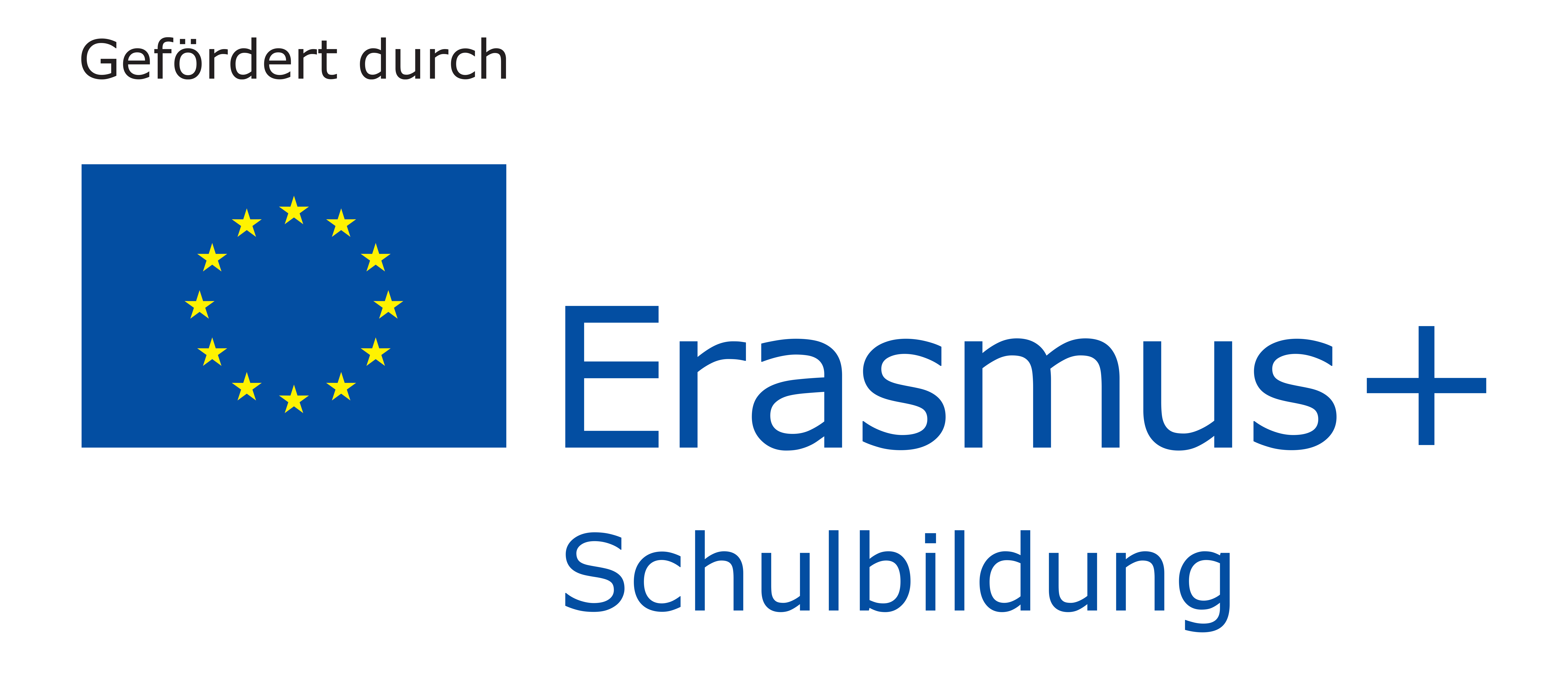 2020 04 17 ErasmusLogo