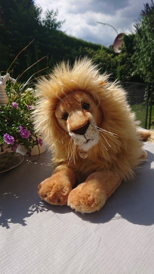 2020 09 24 Leselöwe