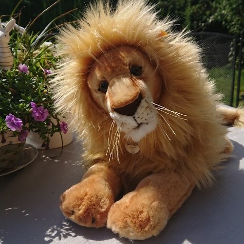 2020 09 24 Leselöwe klein