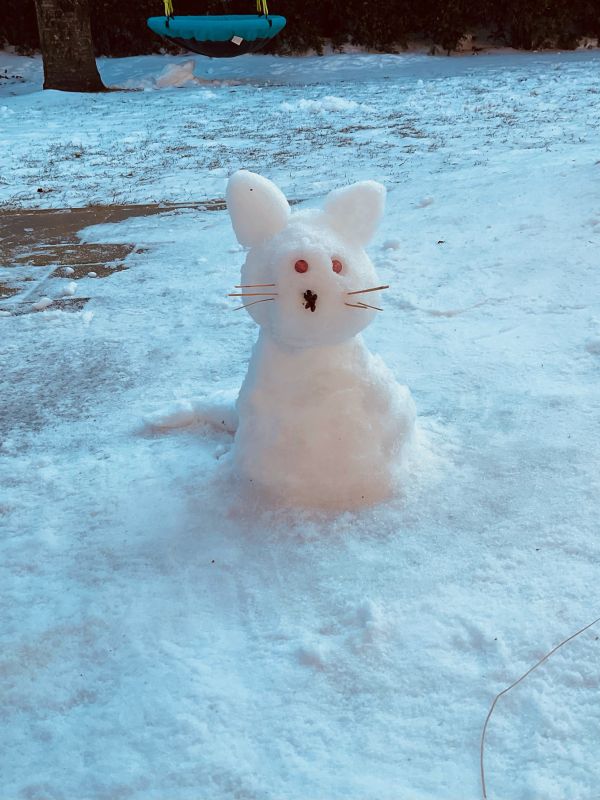 2021 03 01 Schnee klein002