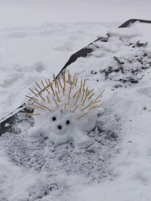 2021 03 01 Schnee klein003