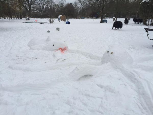 2021 03 01 Schnee klein005