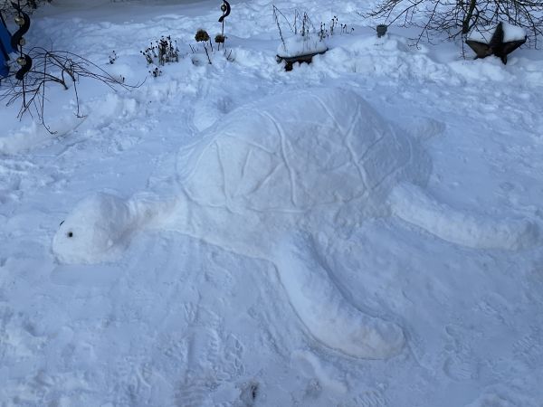2021 03 01 Schnee klein008