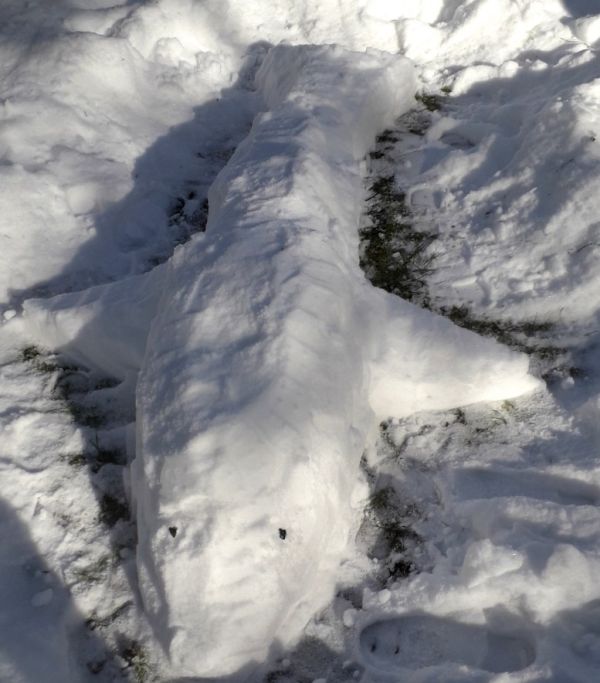 2021 03 01 Schnee klein009