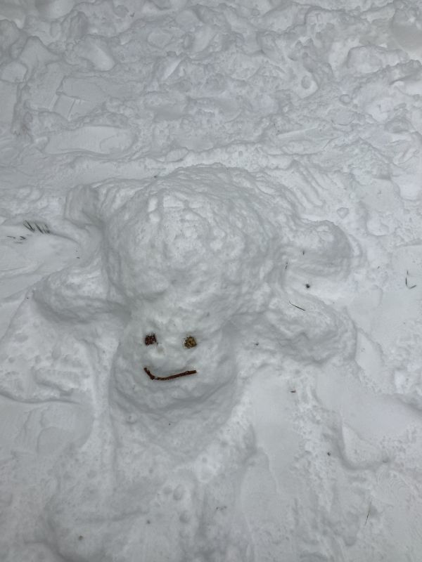 2021 03 01 Schnee klein010