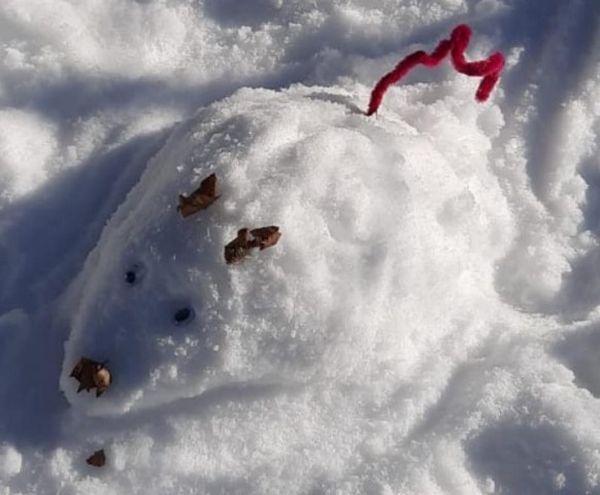 2021 03 01 Schnee klein012