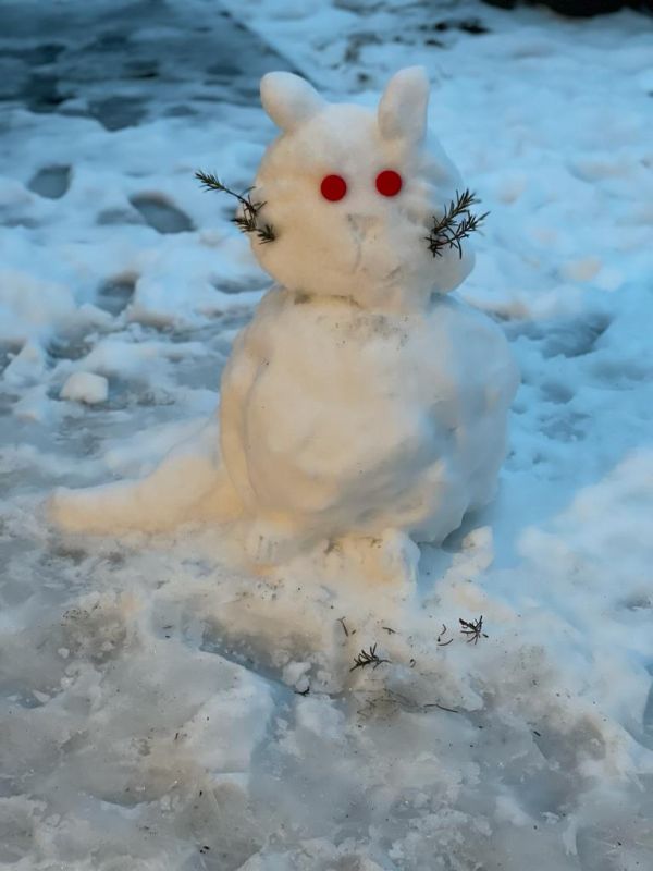 2021 03 01 Schnee klein014