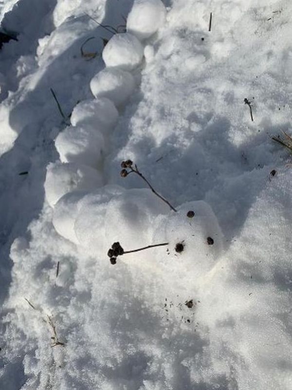 2021 03 01 Schnee klein019