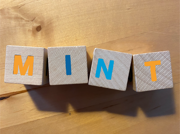 2021 05 31 MINT